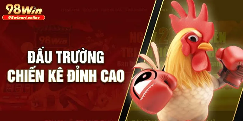 Rất nhiều trận đấu chiến kê đầy kịch tính và hấp dẫn