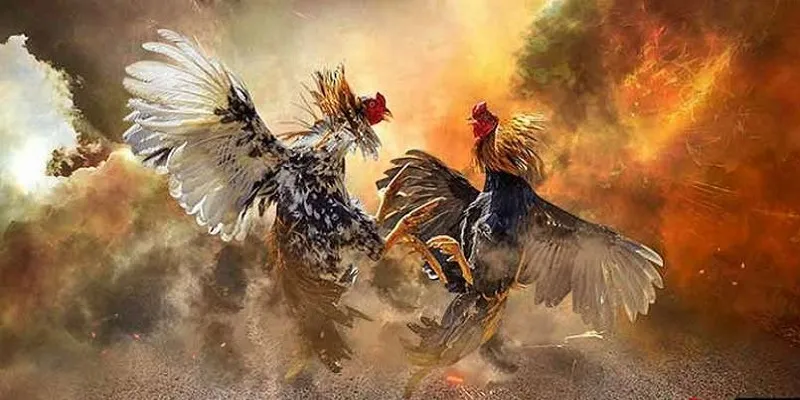 Thành viên cần chọn chiến kỹ càng trước khi bắt đầu cuộc đấu
