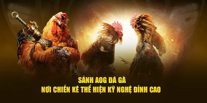 Giới thiệu sơ lược về sảnh đá gà AOG của 98WIN