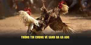sanh-da-ga-aog-98win